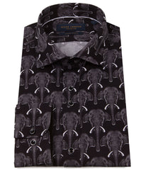Herd of elephants
