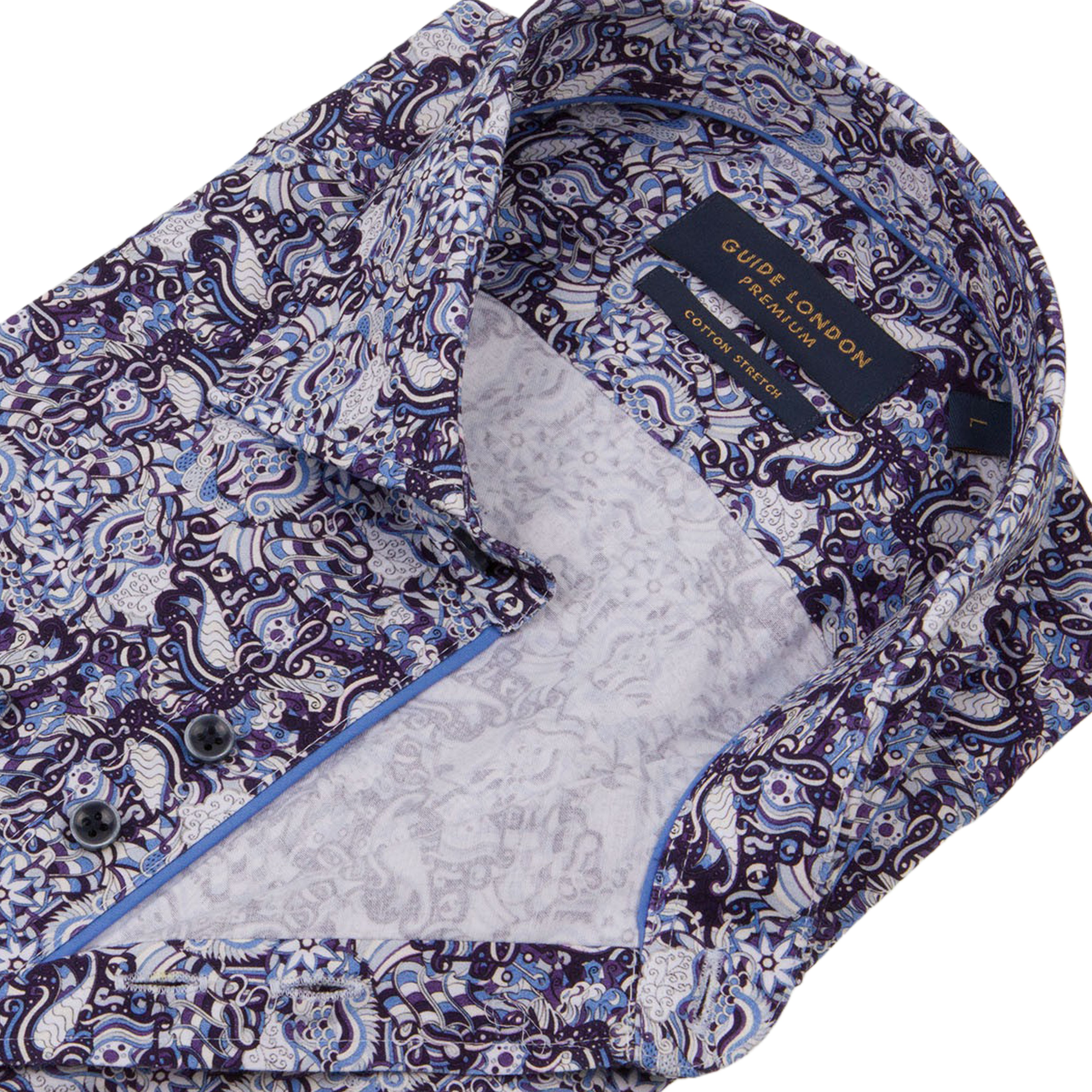 Progressive Paisley