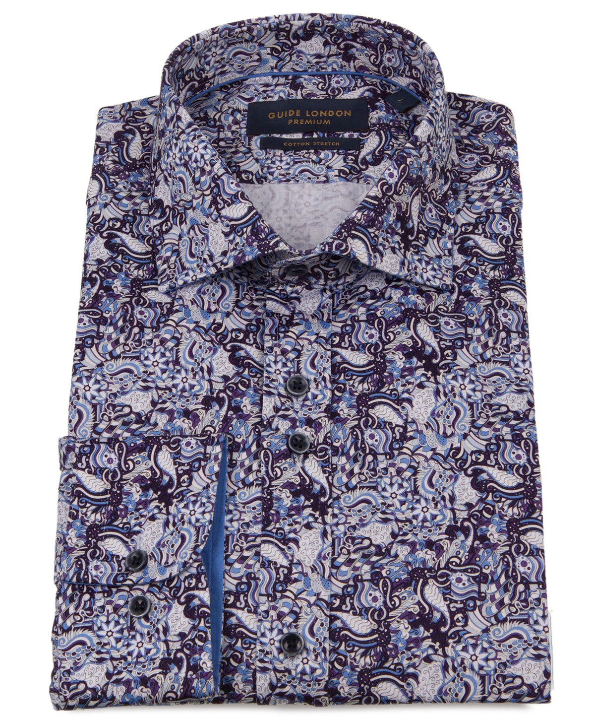 Progressive Paisley